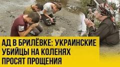 Украина РУ. Стоят на коленях, но не поможет: наводчики ВСУ убили всю семью от 26.08.2022