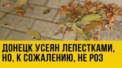 «Пальцем дотронься - останешься без руки»: Донецк обстреливают «лепестками»