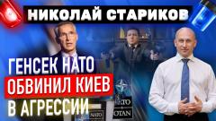 Николай Стариков. Генсек НАТО обвинил Киев в агрессии от 23.11.2022