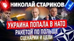 Николай Стариков. Украина попала в НАТО. Ракетой по Польше – сценарий и цели от 19.11.2022