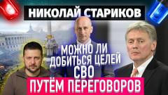 Николай Стариков. Можно ли достичь целей СВО путём переговоров от 25.11.2022
