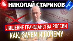 Николай Стариков. Лишение гражданства России: зачем, почему и кого от 14.11.2022