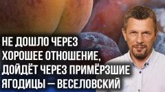 Веселовский об ударах по инфраструктуре, угрозах для Крыма и «спонсорах терроризма»