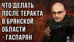 «Вопрос защиты Приднестровья решается тремя предложениями» - Гаспарян рассказал, что делать