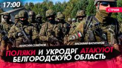 Поляки и укроДРГ атакуют Белгородскую область