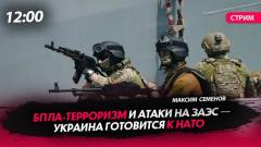 Политическая Россия. БПЛА-терроризм и атаки на ЗАЭС — Украина готовится к НАТО от 04.07.2023