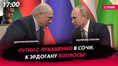 Путин с Лукашенко в Сочи. К Эрдогану вопросы