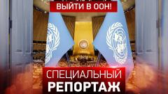 Специальный репортаж. Выйти в ООН 24.10.2023