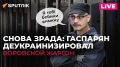 Армен Гаспарян. Гаспаряна упекли на 10 лет: эксклюзив из украинской тюрьмы от 15.11.2023