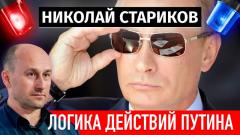 Николай Стариков. Логика действий Путина от 09.12.2023
