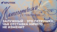 Категорически с Гоблином: отставка Залужного, «навозный» саммит ЕС и новые запреты в Прибалтике от 01.02.2024