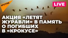 «Летят журавли»: акция в память о погибших в «Крокус Сити Холле» проходит в Москве от 24.03.2024