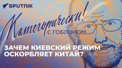 Категорически с Гоблином: удары по Белгороду, безысходность Макрона и кредиты для Украины от 21.03.2024