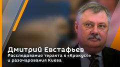 Расследование теракта в "Крокусе" и разочарования Киева. Дмитрий Евстафьев