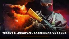 Теракт в «Крокусе» совершила Украина. Что будет