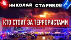 Николай Стариков. Кто стоит за террористами от 24.03.2024