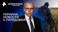 Шокирующие гипотезы. Украина. Новости с передовой 17.04.2024