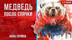 Политическая Россия. Медведь после спячки от 09.04.2024